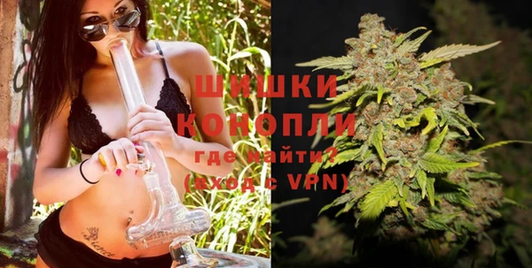дживик Кулебаки