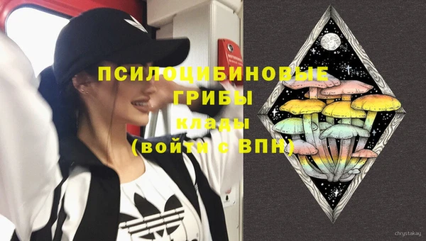 дживик Кулебаки