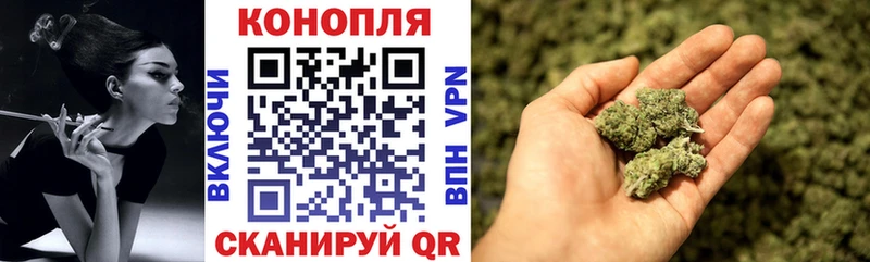 Купить закладки  Звенигород  Канабис план 